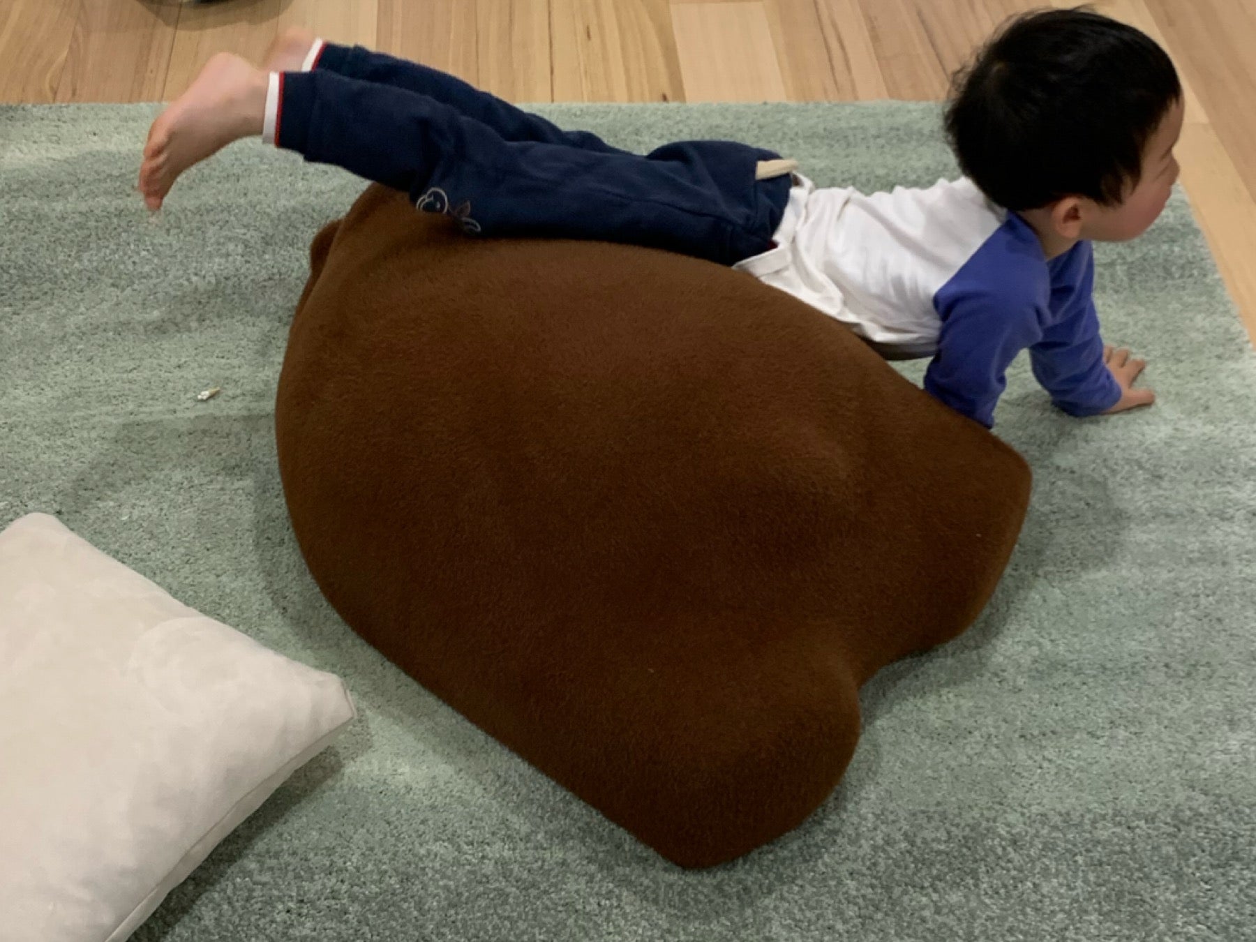 Floor Bear Cushion